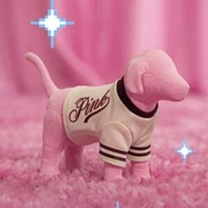 PINK Victoria's Secret Pink and Cream Dog Tee with Script Logo